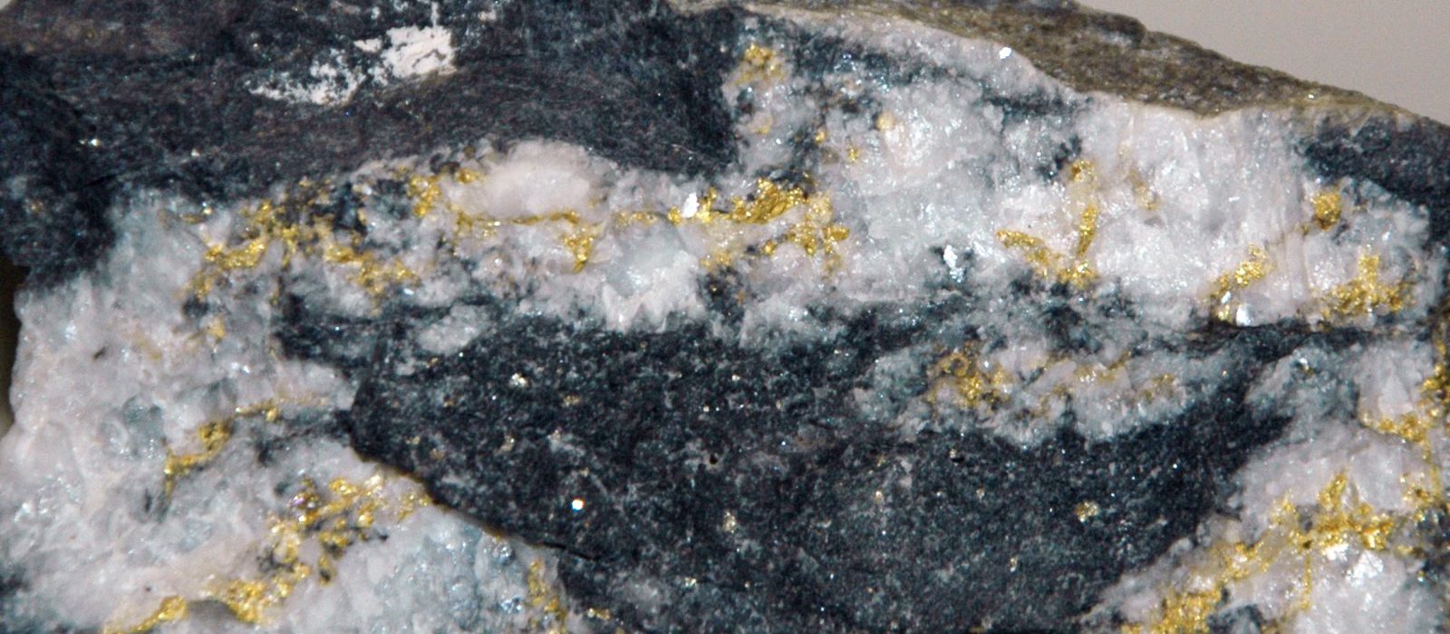 Visible gold in a quartz vein, representative of the Anvil Zone shear mineralisation